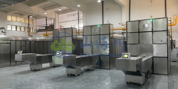 M&aacute;quina de cremaci&oacute;n de lecho de hogar de c&aacute;mara fija